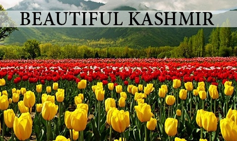 beautiful-kashmir