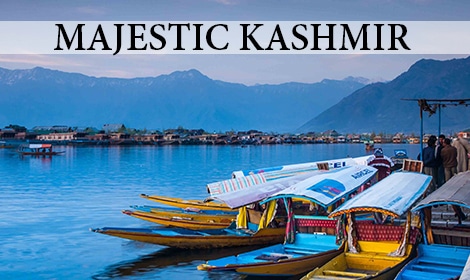 gem tours kashmir package