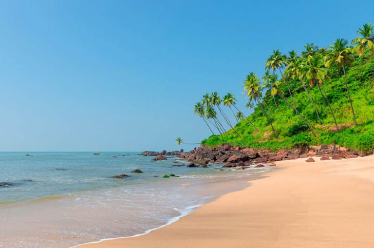 Benaulim-Beach Things to Do in Goa for a Memorable Trip