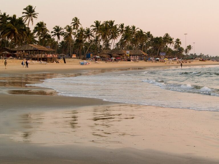 colva-beach Things to Do in Goa for a Memorable Trip