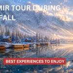 Kashmir Tour During Snowfall_ Best Experiences to Enjoy
