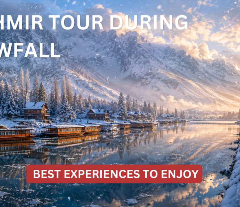 Kashmir Tour During Snowfall_ Best Experiences to Enjoy