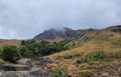 Munnar- Thekkadi