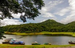 Munnar- Thekkadi