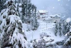 shimla-manali