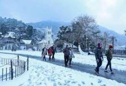 shimla-manali