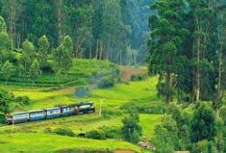 Ooty Kodai Honeymoon Tour